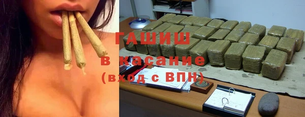 сатива Абаза