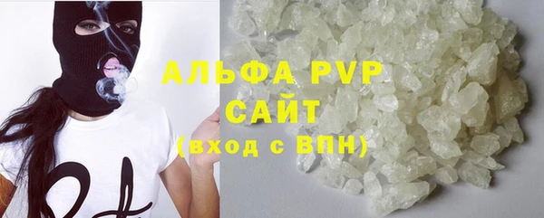 сатива Абаза
