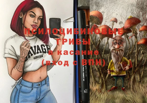 сатива Абаза