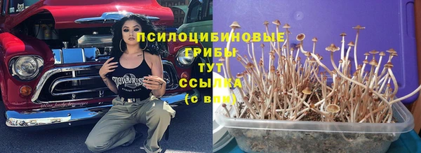 прущая мука Абинск